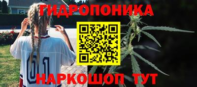 мдпв Пушкино