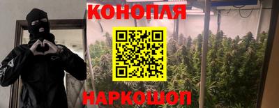 мдпв Пушкино